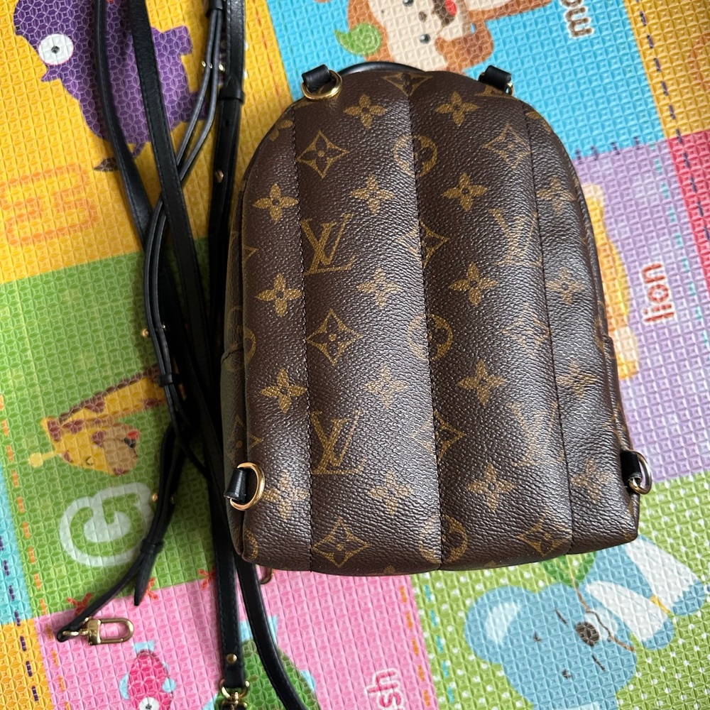 Louis Vuitton Monogram Palm Springs Backpack Mini